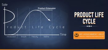Ultimate Guide to the Product Life Cycle: 6 Modern Stages, Strategies, and Examples