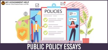 Public Policy Essays