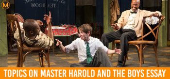 Topics On Master Harold And The Boys Essay