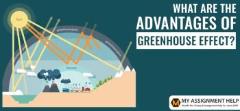 What Are The Advantages of the Greenhouse Effect ?